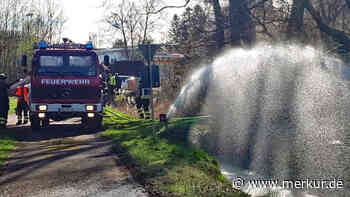 Dreckiges Wasser von Baustelle eingeleitet: Massives Fischesterben