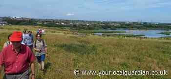 ‘Hyde Park sized’ Beddington reserve branded 'disappointment’ 