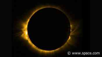 'Zeus made night from mid-day:' Terror and wonder in ancient accounts of solar eclipses