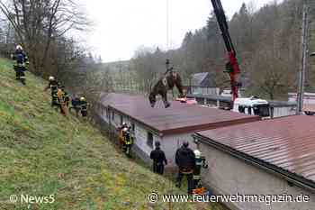 Pferderettung am Ostermontag
