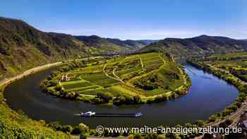 Das sind sechs der schönsten Wanderwege in Rheinland-Pfalz