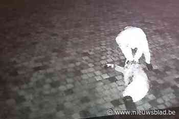VIDEO. Inbreker wordt betrapt en valt zeven meter naar beneden in Maasmechelen