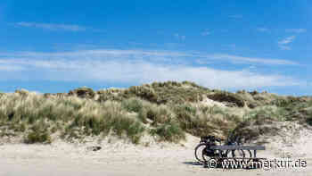 Geben Forschern Rätsel auf: Diese niedlichen Tierchen tauchen nach 100 Jahren wieder auf