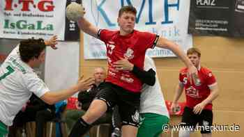 Löwen-Nachwuchs im Vorwärtsgang