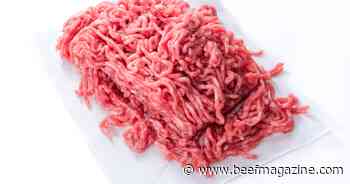 Slaughter cows and ground beef