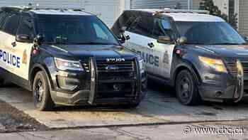 Boy, 11, killed in dog attack at south Edmonton home: police