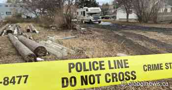 Investigation underway after Calgary police officer shoots dog