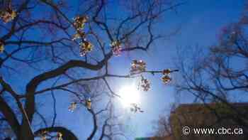 How to reduce the risk of spring melt flooding at your home as temperatures climb this week