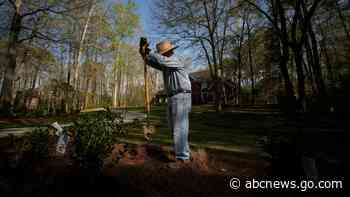 Invaders from underground are coming in cicada-geddon. It's the biggest bug emergence in centuries