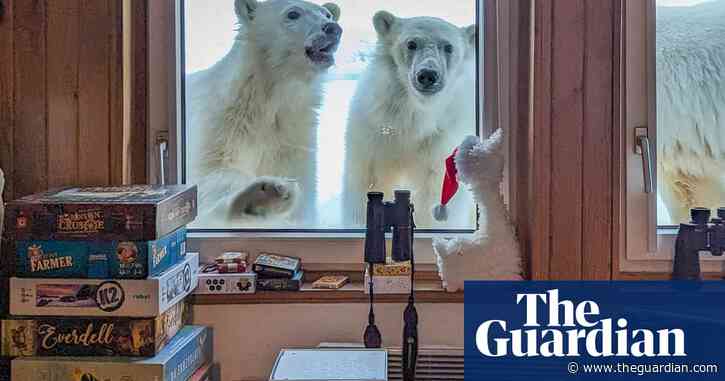 ‘Wonderful experience’: Researcher’s close encounter with Svalbard polar bears
