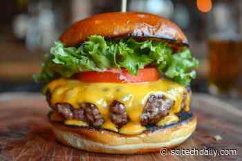 Brain Inflammation and Memory Loss: Connecting the Dots Between Diet and Surgery