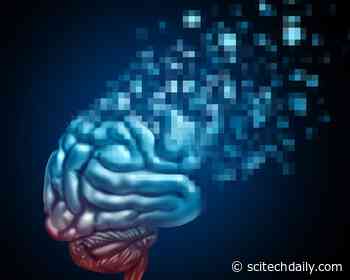 New Insights Into Type 3 Diabetes – Groundbreaking Study Reveals How Diet Influences Alzheimer’s Risk