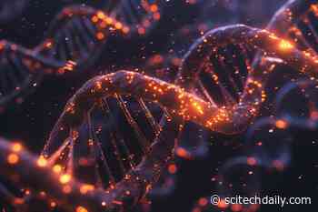 Rethinking Aging: Could Long Genes Be the Culprits Behind Growing Older?