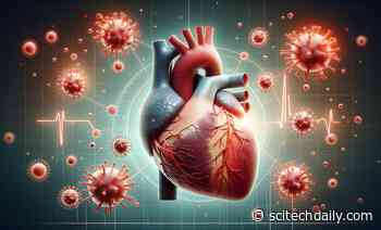 The Invisible Assault: How COVID-19 Clandestinely Ravages the Heart