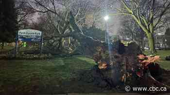 Spring storm brings strong winds, rain to Toronto; special weather statement in effect