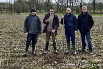 Landbouwers kunnen weer een beroep doen op schattingscommissie: door aanhoudende regen valt er wel wat schade op te meten