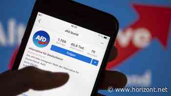 Auswertung von Intermate: So sehr dominiert die AfD die Social-Media-Landschaft