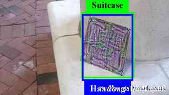 Pentagon launches tech to stop AI-powered killing machines from going rogue on the battlefield due to robot-fooling visual 'noise'