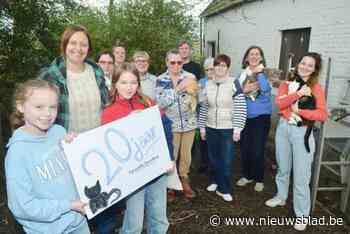 Operatie Zwerfkat bestaat 20 jaar: “Helaas beseft nog altijd niet iedereen dat dieren houden ook geld kost”