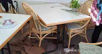 Wildschwein-Attacke in Mitwitz: Oster-Essen wird blutiger Albtraum