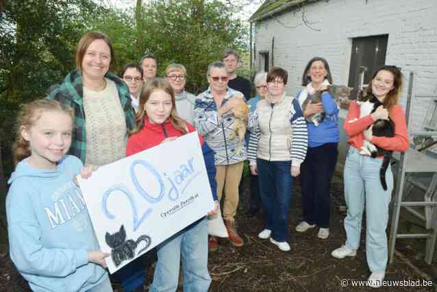 “Helaas beseft nog altijd niet iedereen dat dieren houden ook geld kost”: Operatie Zwerfkat is na 20 jaar nog steeds nodig