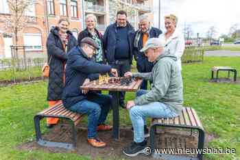 Schaken in openlucht kan voortaan in park Groene Dender