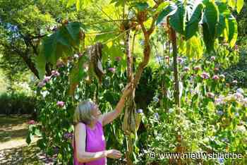Simonne en Raf zetten Tuin d’Ost open en steunen Oekraïne: “Betekenis geven aan de tijd die ons nog rest”