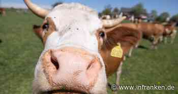 Mehr Ökohöfe in Deutschland