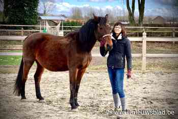 Zeldzame aandoening brengt onderneemster Ilse (53) van IT-sector naar paardenwereld