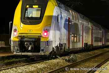 16-jarige fietser komt om het leven bij aanrijding op spooroverweg