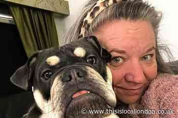 Rainham woman appeals to save eyesight of her British Bulldog