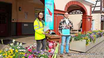 Nagold ist dabei: Biotonnen-Challenge läuft auf Hochtouren
