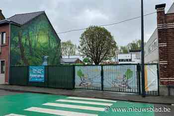 Vanaf volgend schooljaar ook type 3 onderwijs in Don Bosco: “Plaats voor veertien leerlingen”