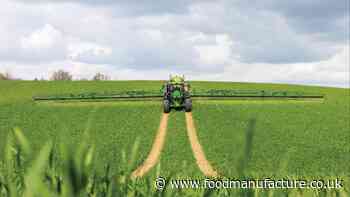 Septoria ‘perfect storm’ threatens crop yields