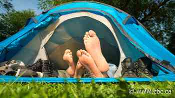 How is the province's new camping booking system holding up?