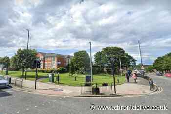 Plans approved for new 20-metre-high 5G mast in Sunderland neighbourhood