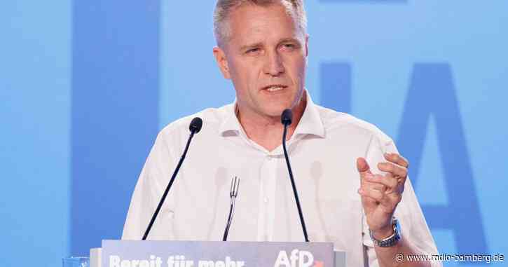 Bystron soll AfD Auskunft zu Vorwürfen aus Tschechien geben