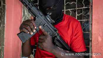 DHS attempts to stop a steady stream of guns from America to Haiti