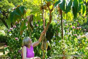 Simonne en Raf zetten Tuin d’Ost open en steunen Oekraïne: “We willen betekenis geven aan de tijd die ons nog rest”