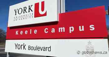 New medical school at York University to open in 2028