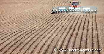 Shifting interest rate expectations boost farmer sentiment