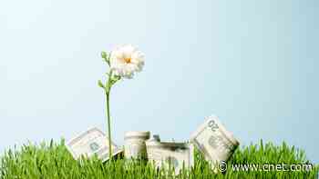 Your Finances Need a Spring Cleaning Too. Here's How to Do It     - CNET