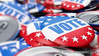 Florida voters need to know these six issues on the ballot in November