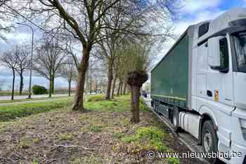 Buurt klaagt over overlast door overnachtende vrachtwagenchauffeurs: “Plaats op zijn minst toiletten”