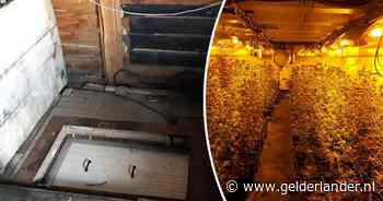 Ondergrondse hennepkwekerij in onze tuin? 'Wij weten van niets’