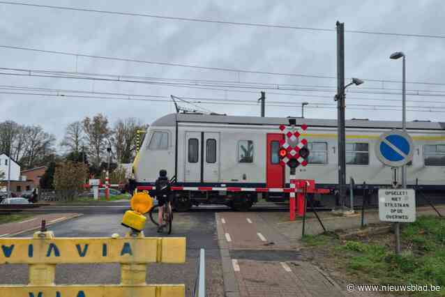 Slachtoffer van dodelijke aanrijding met trein is 16-jarige jongen uit Rotselaar: “Op die plek had al een brug voor fietsers moeten staan”