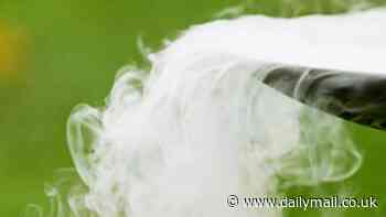 Eco-friendly California is America's BIGGEST polluter - when it comes to little-known greenhouse gas that 'slipped under the radar'