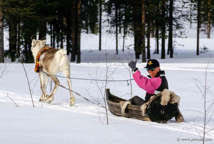 Our One and Only, Mr. Neil Stebbins