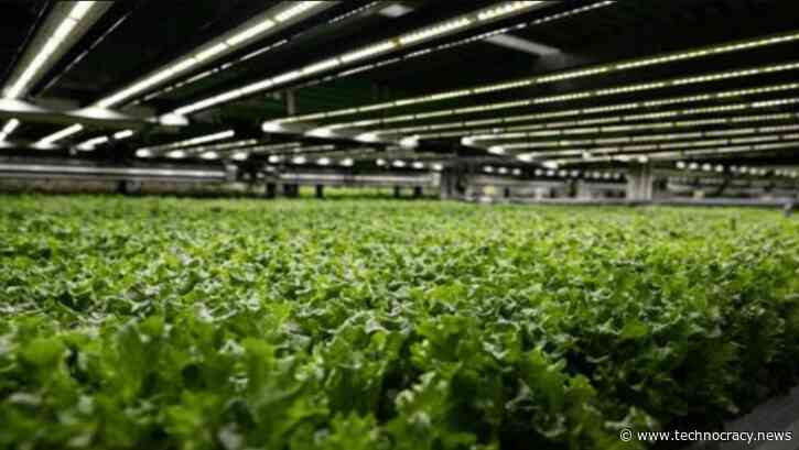 Tennessee Senate Says “No” To mRNA Vaccines In Food