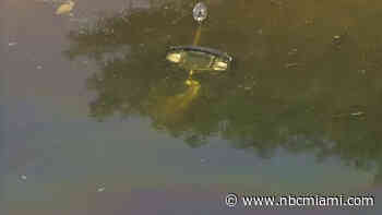 Man found dead in car after crashing into Parkland canal identified